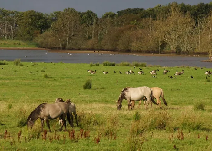 Lägenhet Cathedral Day 